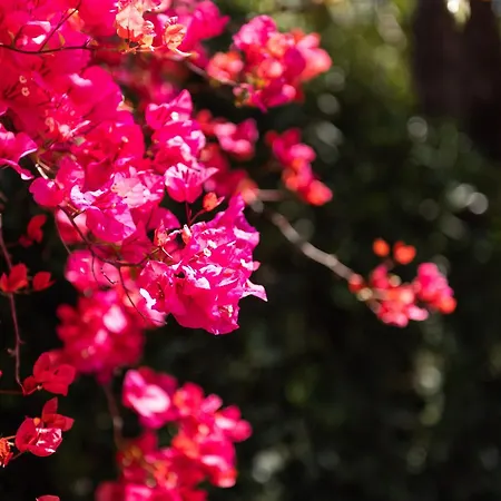 Accu Is Prezzus E2 50mt * Villasimius