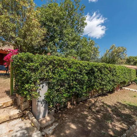 Accu Is Prezzus E2 50mt *